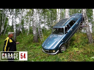 ЗАЧЕМ МЫ ЗАГНАЛИ ВОЛГУ на ДЕРЕВО?