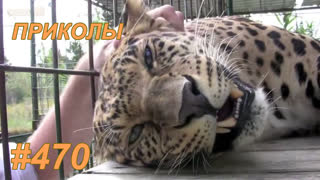 Приколы июль 2019 №470